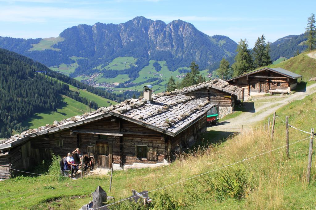 Gaestehaus Woell Alpbach Extérieur photo