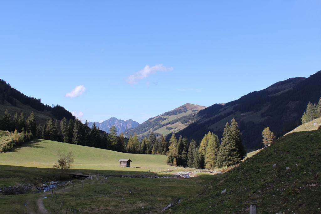Gaestehaus Woell Alpbach Extérieur photo
